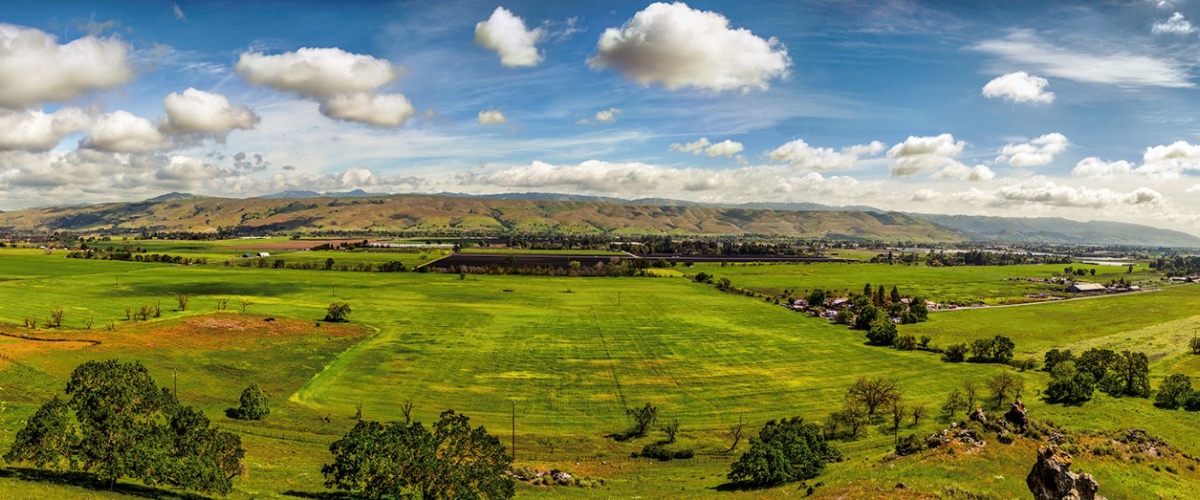Wide view of a Coyote Valley with bright green fields and Diablo Range in the distance under a blue sky with white fluffy clouds