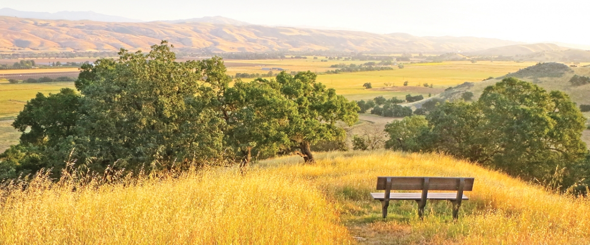 Bench on top of hill covered in golden grass, overlooking oak trees and expansive golden Coyote Valley below