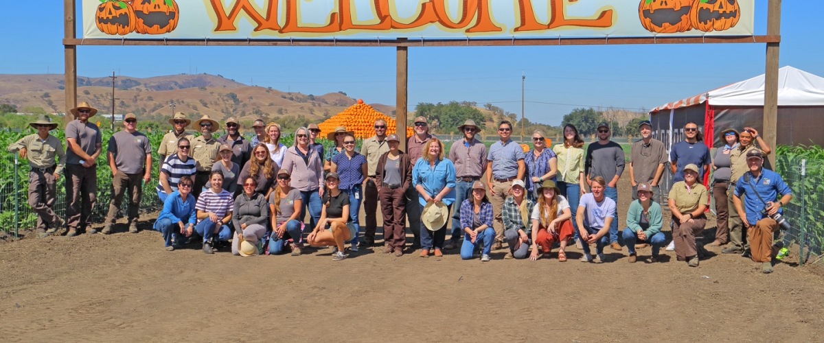 Group shot of Open Space Authority staff standing and smiling in front of pumpkin patch