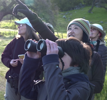 Group of birdwatchers looking through binoculars and pointing towards sky