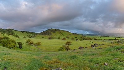 Lush green fields and hills of Coyote Valley under an overcast sky