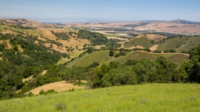 Overlooking the hills of Tilton Ranch to the North towards Coyote Valley