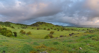 Lush green grassy field looking across Coyote Valley to rolling green hills under overcast sky 