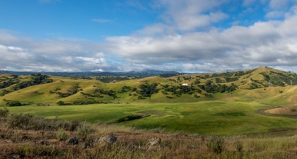 Looking across the green low basin of North Coyote Valley Conservation Area surrounded by green hill under a blue sky with white clouds