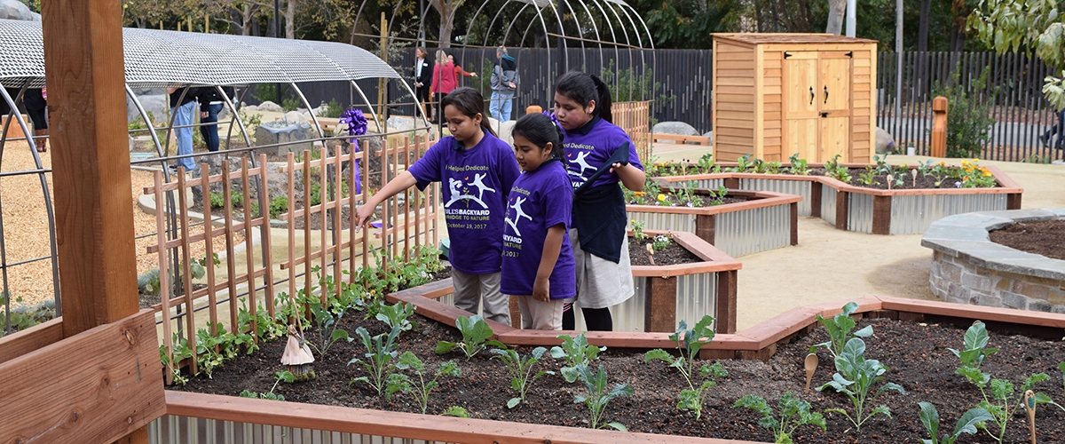 Students in purple shirts playing in Bill's Backyard outdoor area