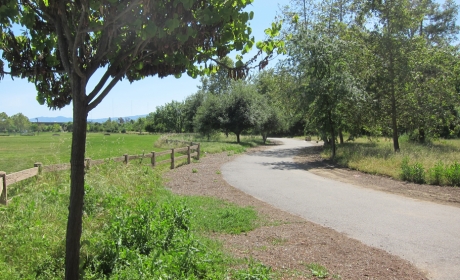 Paved trail at Selma Olinder Park leading through green field and trees