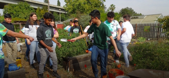 Group of student youths working in garden
