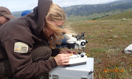 Blonde woman in Open Space Authority sweatshirt looking through microscope in field of wildflowers