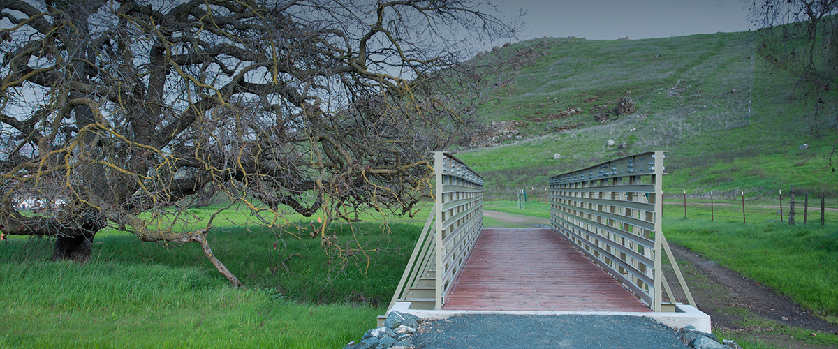 Pedestrian bridge at Coyote Valley Open Space Preserve next to large tree with green hillside in background